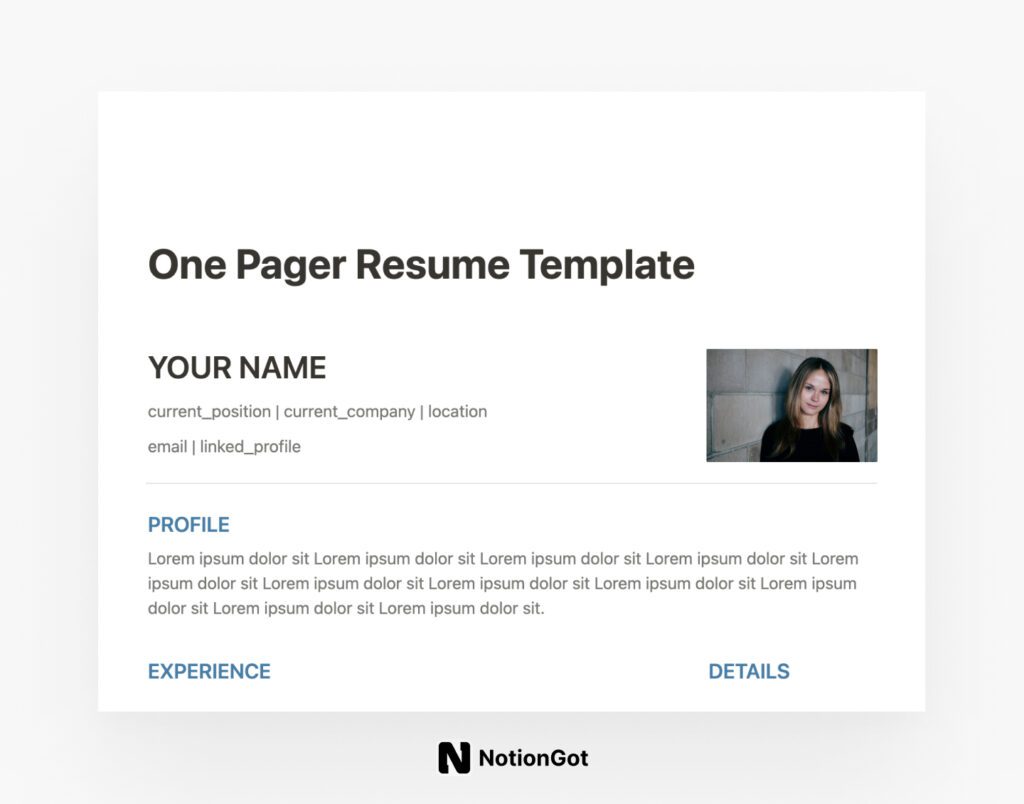 One Pager Resume Template