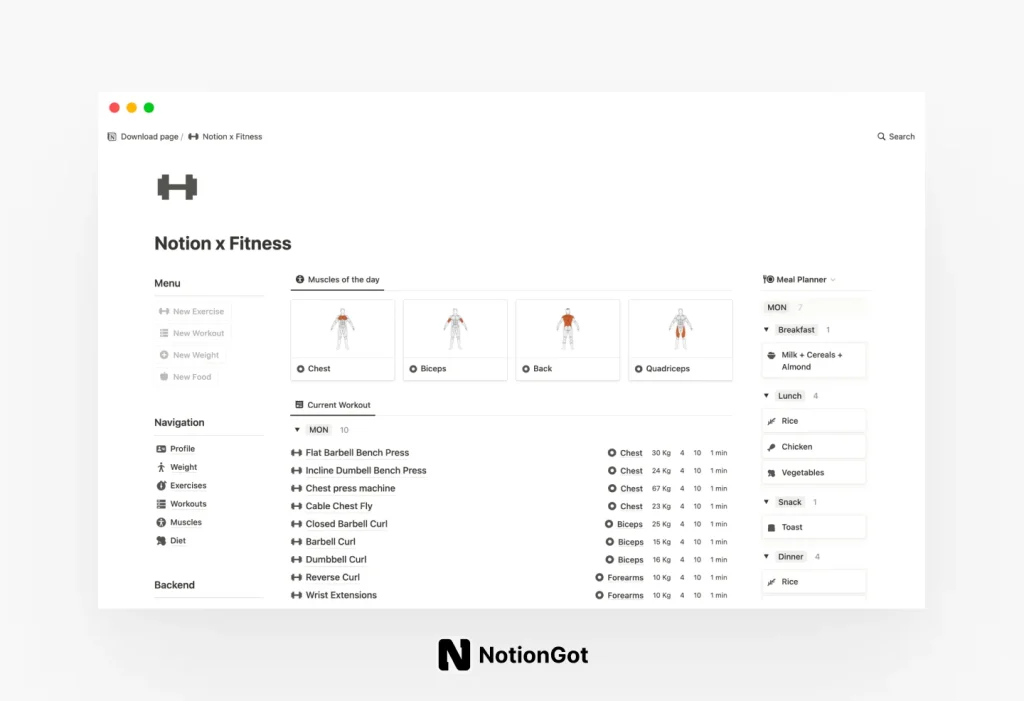 Notion x Fitness (Paid) for Notion