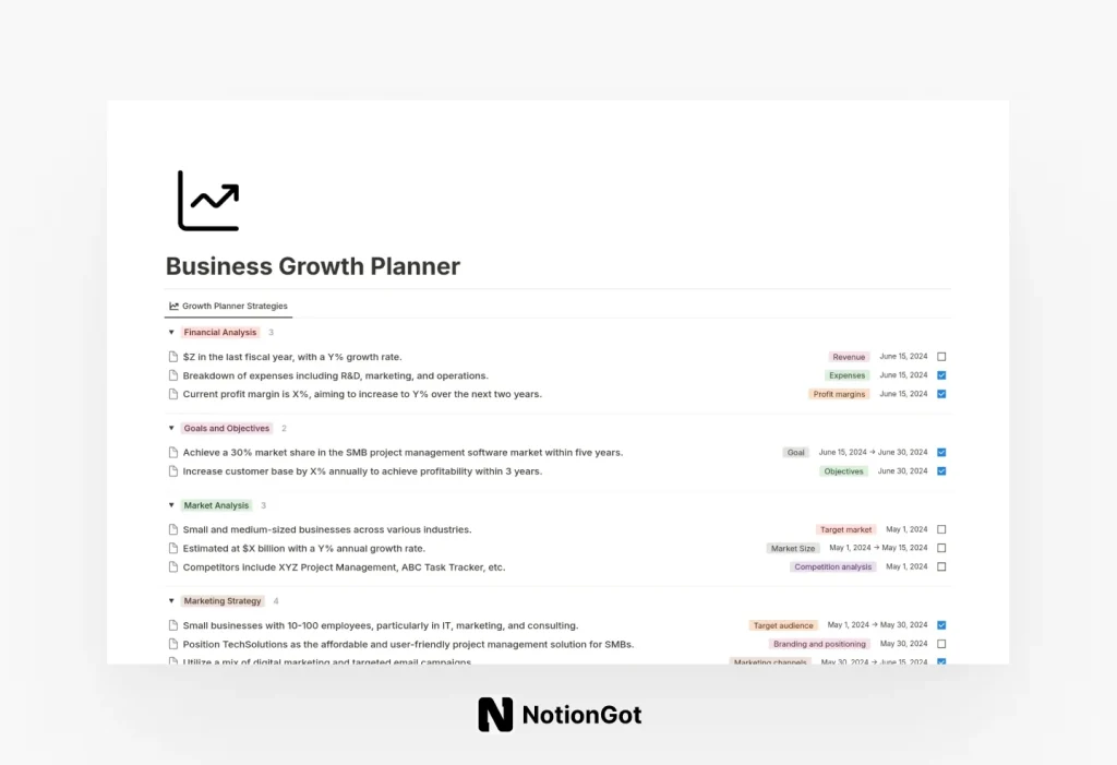 Business Growth Planner (Paid Template)