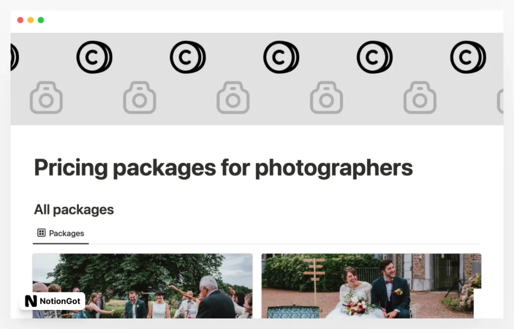Notion Photographer price packages template